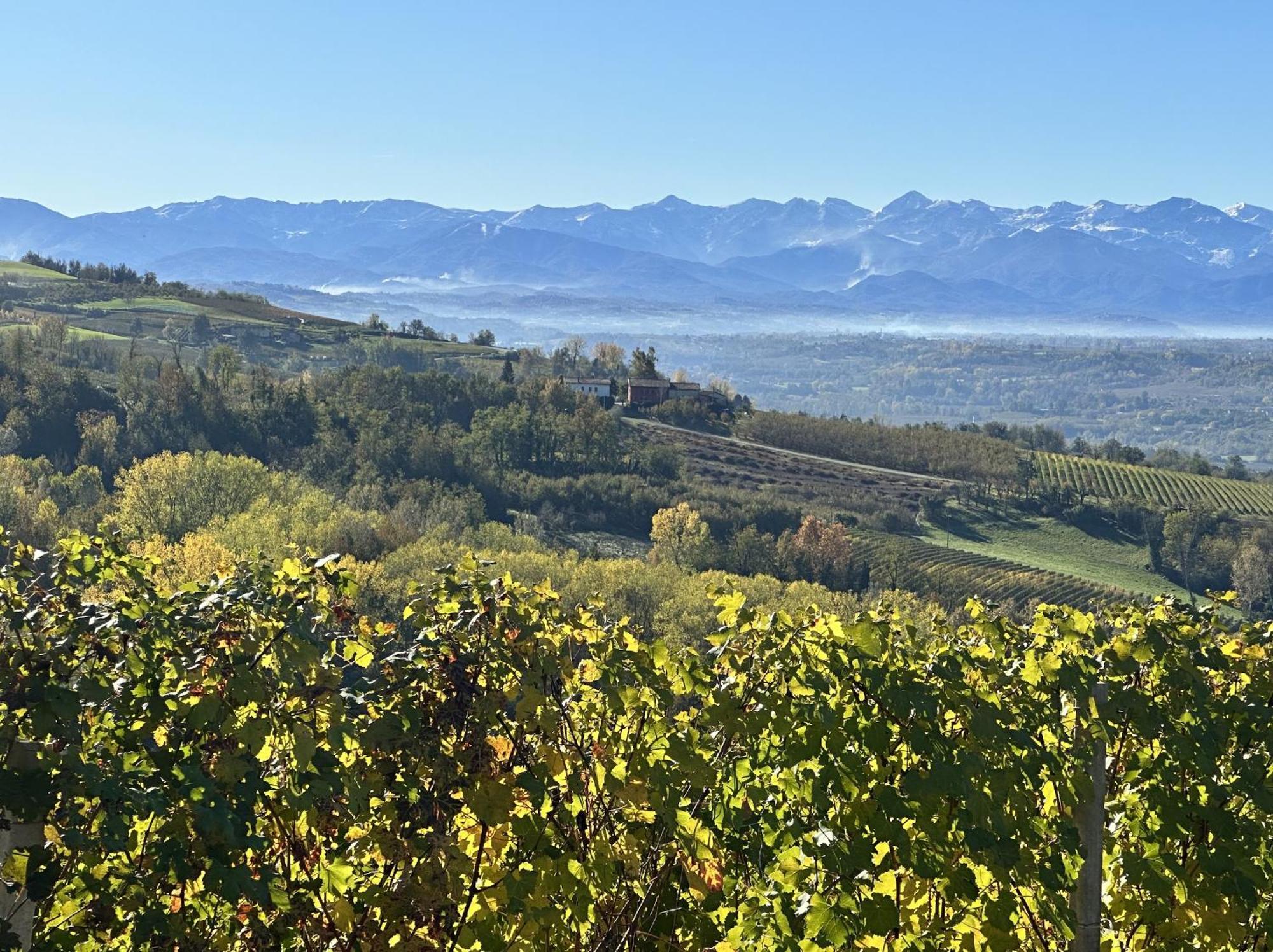 Just Langhe Casa Nebbiolo Villa โนเวลโล ภายนอก รูปภาพ