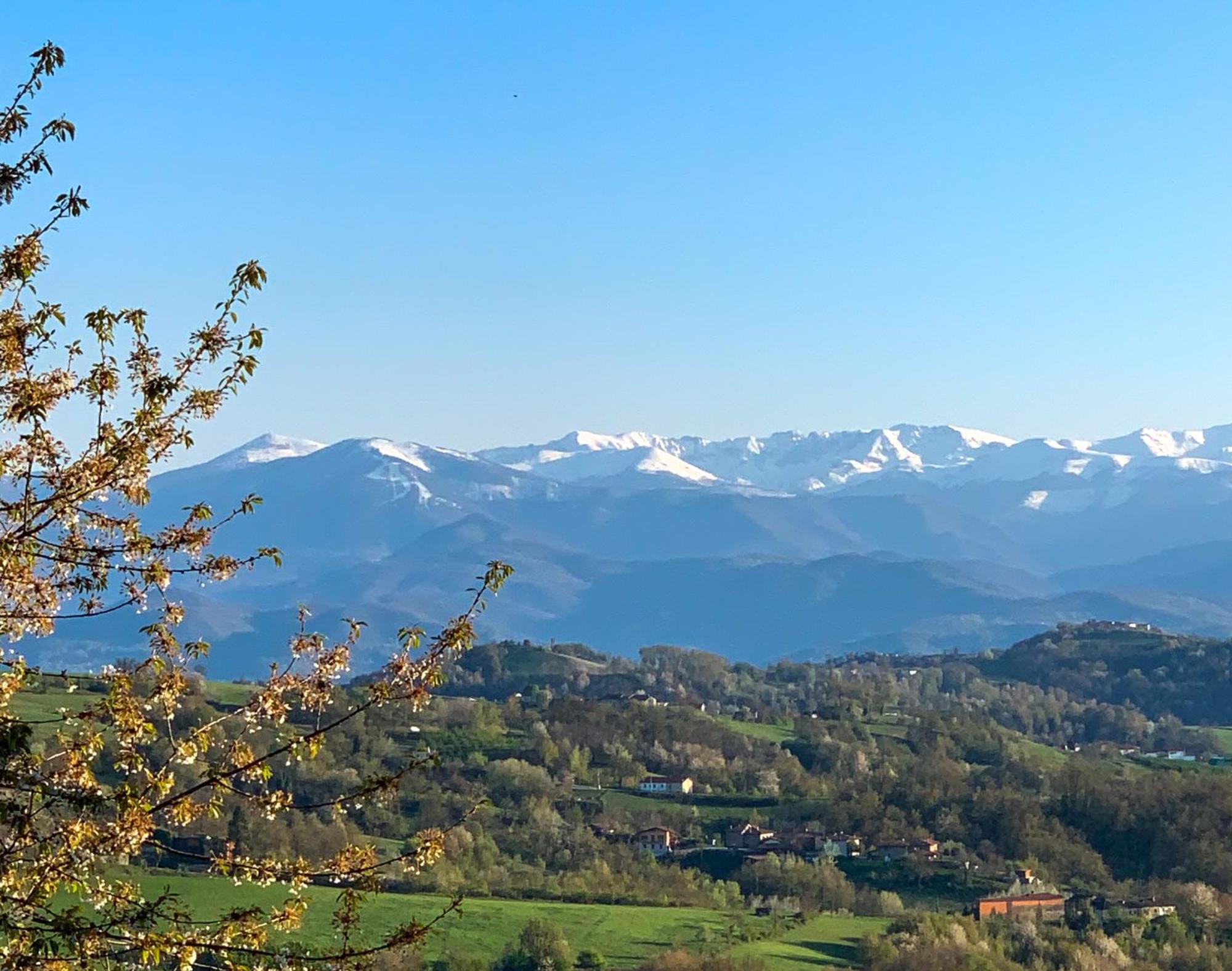 Just Langhe Casa Nebbiolo Villa โนเวลโล ภายนอก รูปภาพ