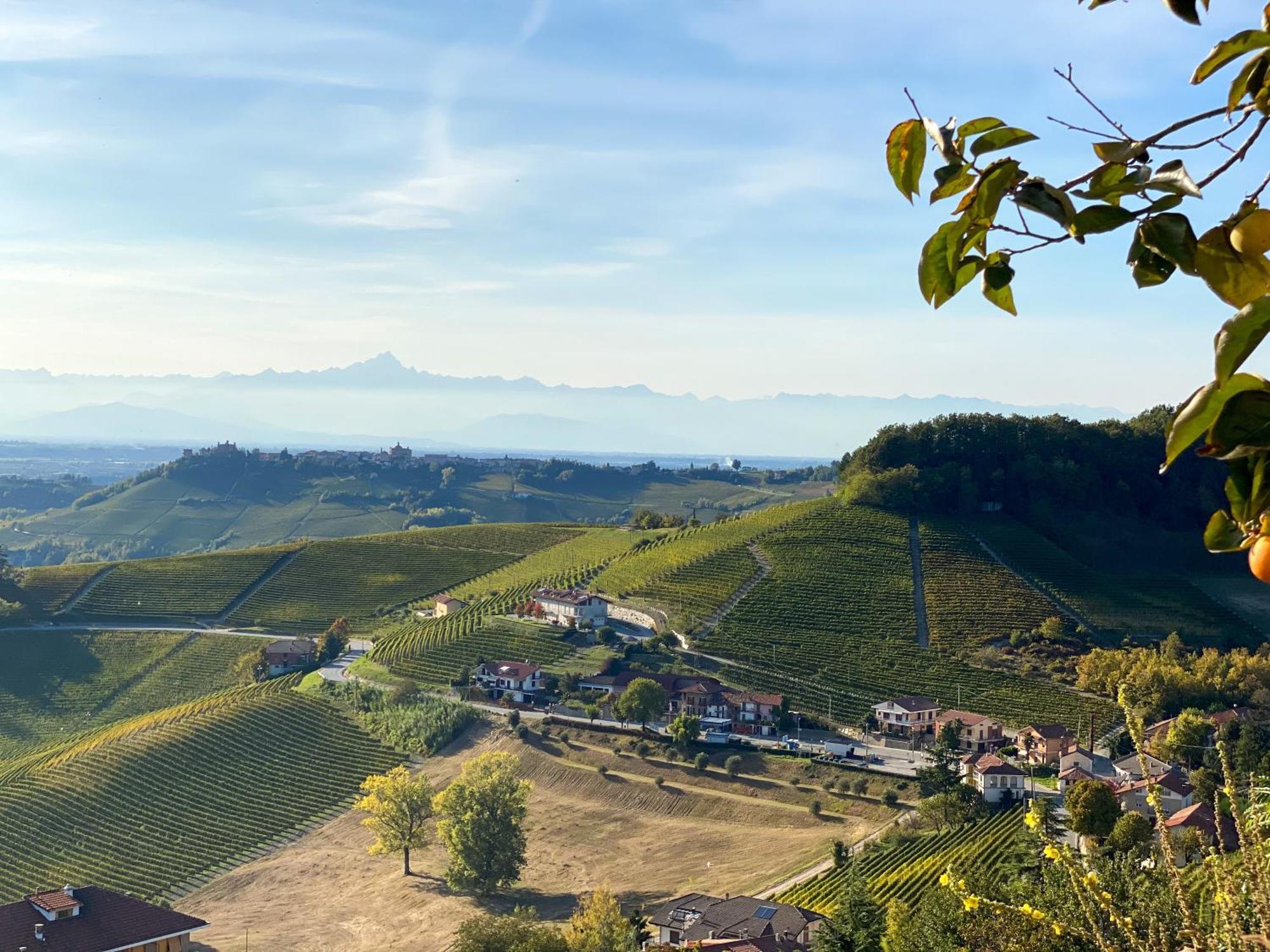 Just Langhe Casa Nebbiolo Villa โนเวลโล ภายนอก รูปภาพ