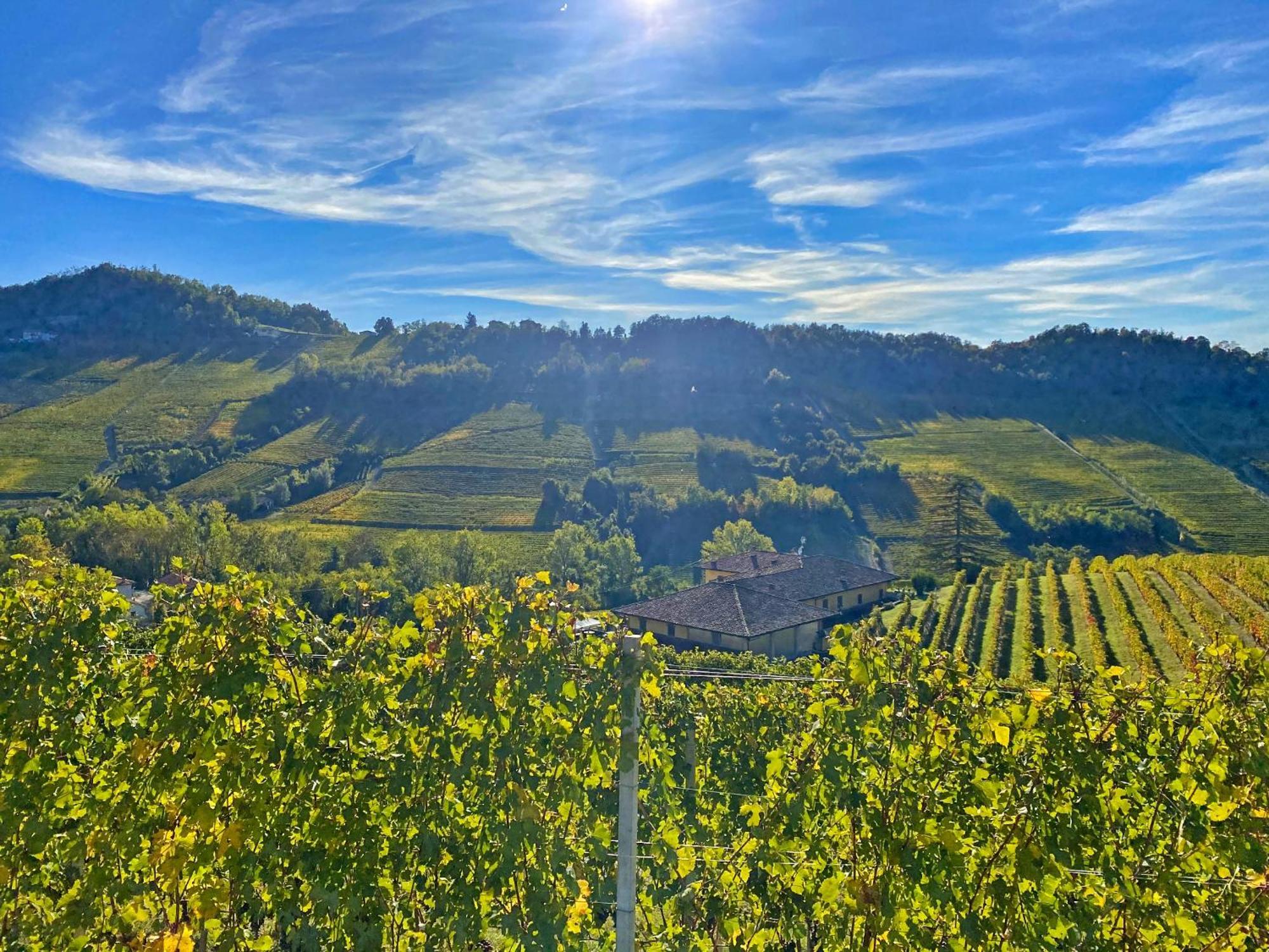 Just Langhe Casa Nebbiolo Villa โนเวลโล ภายนอก รูปภาพ
